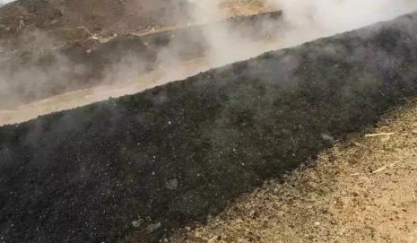 雞糞到底對于瓜果是毒藥還是寶？